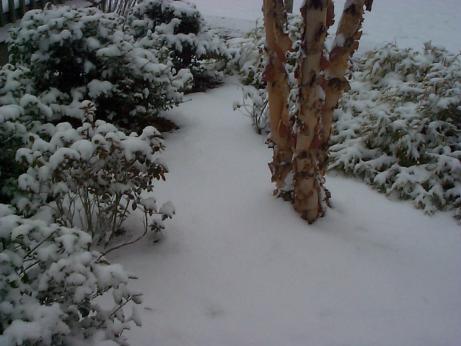 snow in april