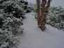 snow in april [click to enlarge]
