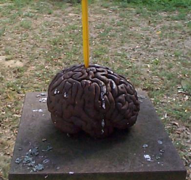 a pen sticking in a brain