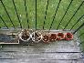 some dead tomato plants [click to enlarge]