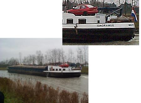a ship in the canal, Ignoramus