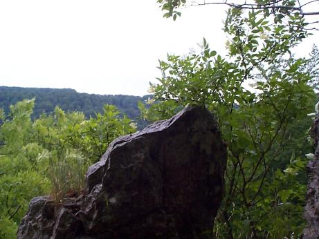 a rock
