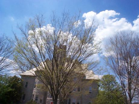 Davis Hall
