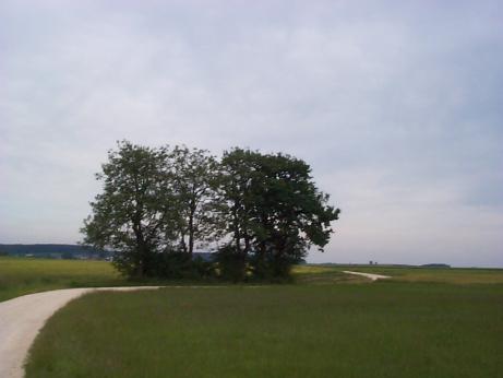 a winding road in southern Germany